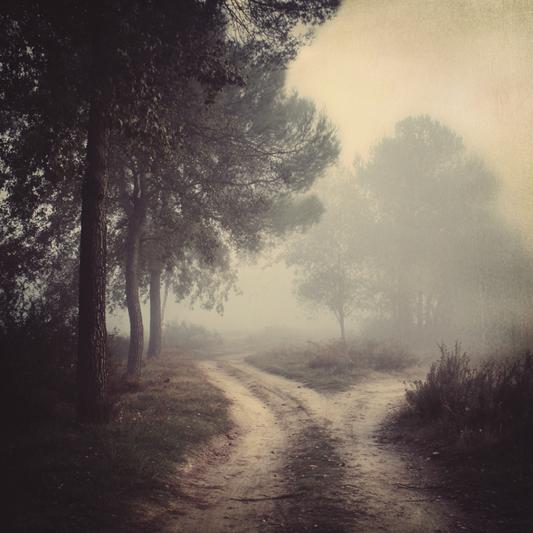 Crossroads Clarity Reading