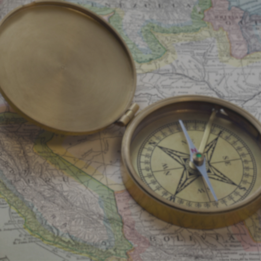 Focused Insight Reading (Single Topic Deep Dive)
